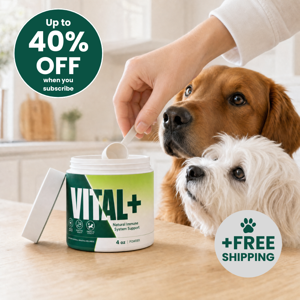 VITAL+ | Natural immune system support