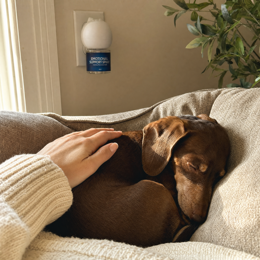 Emotional Support Spray