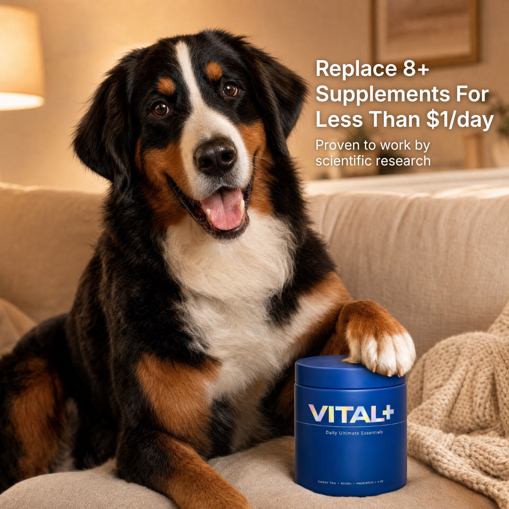 VITAL+ | Daily Ultimate Essentials